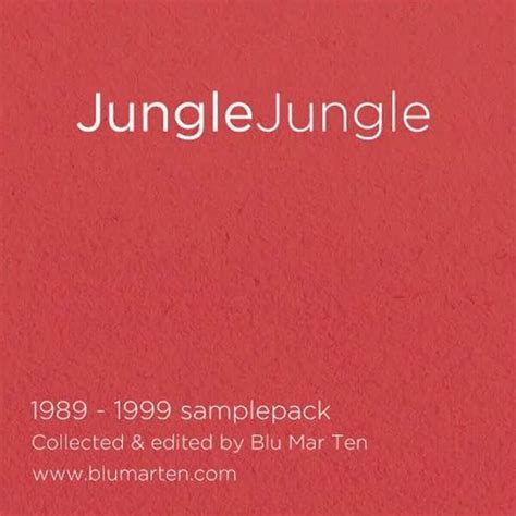 650+ breaks, basses, pads, riffs, hits, vocals & FX (390MB) All <b>samples</b> taken from vinyl or CD and saved as 16bit WAVs. . White noiz from junglejungle 1989 1999 sample pack